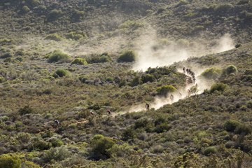 Absa Cape Epic 2018 - Stage 2 - Untamed Montage