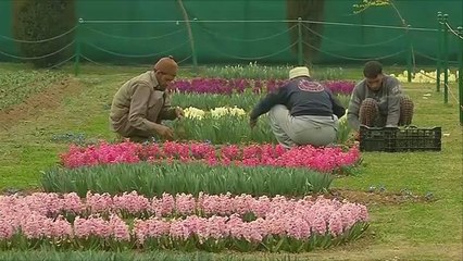 هذا الصباح- طقوس الشعوب للترحيب بفصل الربيع