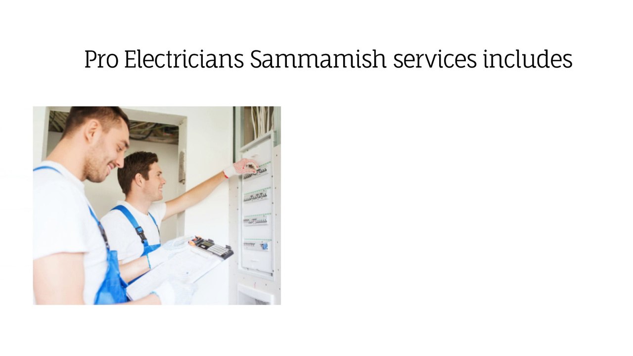 Pro Electricians Sammamish