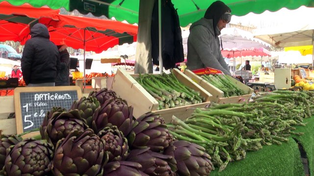 Alpes-de-Haute-Provence : Des couleurs de printemps mais toujours des températures d'hiver sur le marché de Digne-les-bains