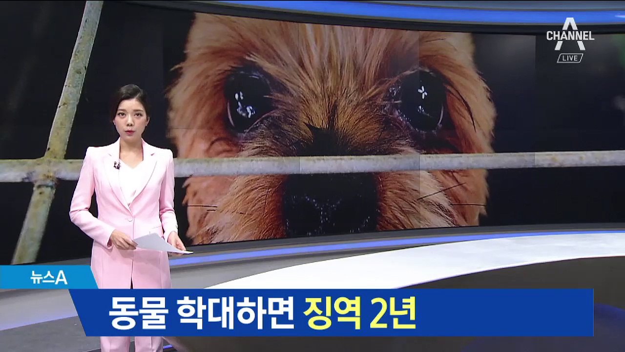 동물 학대하면 징역 2년…더위·추위 방치도 처벌