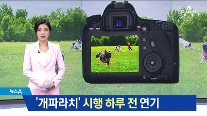 ‘개파라치’ 시행 하루 전 연기…사생활 침해 때문?