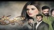 Naseebon Jali Episode #132 HUM TV Drama 20 March 2018 -dailymotion
