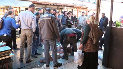 Mersin açıklarında bir haftada üçüncü köpek balığı yakalandı