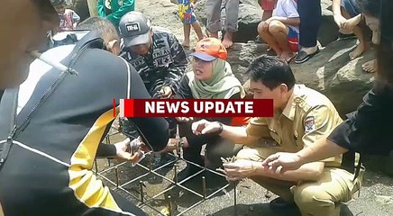 Antisipasi Kerusakan Ekosistem Laut, BTNB Lakukan Penanaman Pengkayaan Mangrove dan Karang