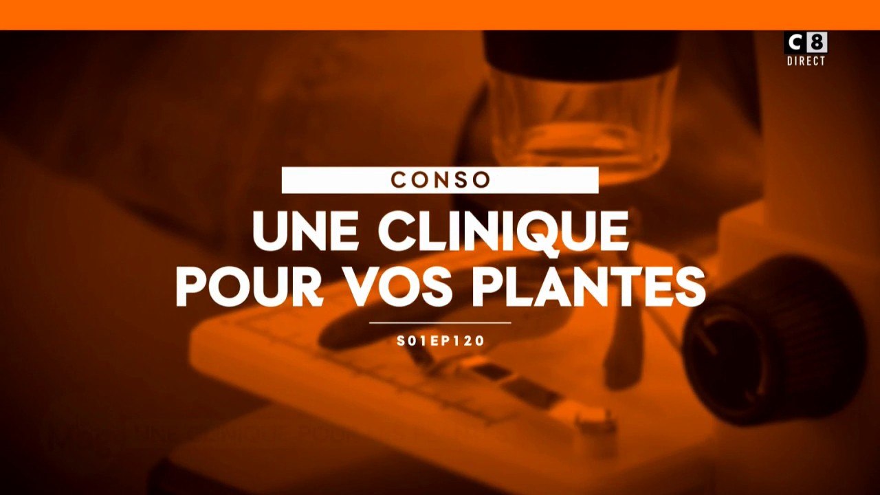 Une clinique pour vos plantes