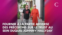 Héritage de Johnny Hallyday : pourquoi la première audience a 
