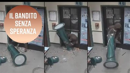 7 regole per essere un criminale... davvero ridicolo!