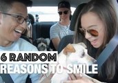 Random Reasons to Smile
