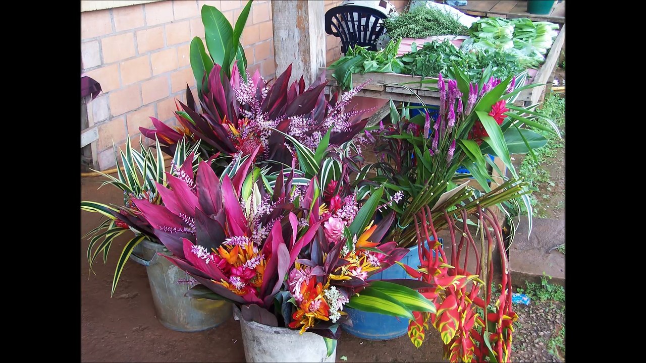 GUYANE FRANCAISE