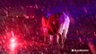 Cows roam snowy New York highway after crash