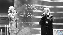 [Vietsub] Why is the sky - Baek A Yeon & Park Jimin