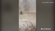 Thick hail litters ground, looks like winter storm