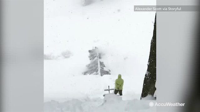 Epic fail: Snowboarder tries grinding tree