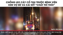 Chồng leo cây cổ thụ trước bệnh viện xem vợ đẻ và cái kết 