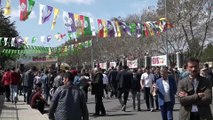 Doğu ve Güneydoğu'da HDP'nin nevruz kutlamaları - BİNGÖL/MARDİN