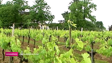 Innovation - agriculture du futur