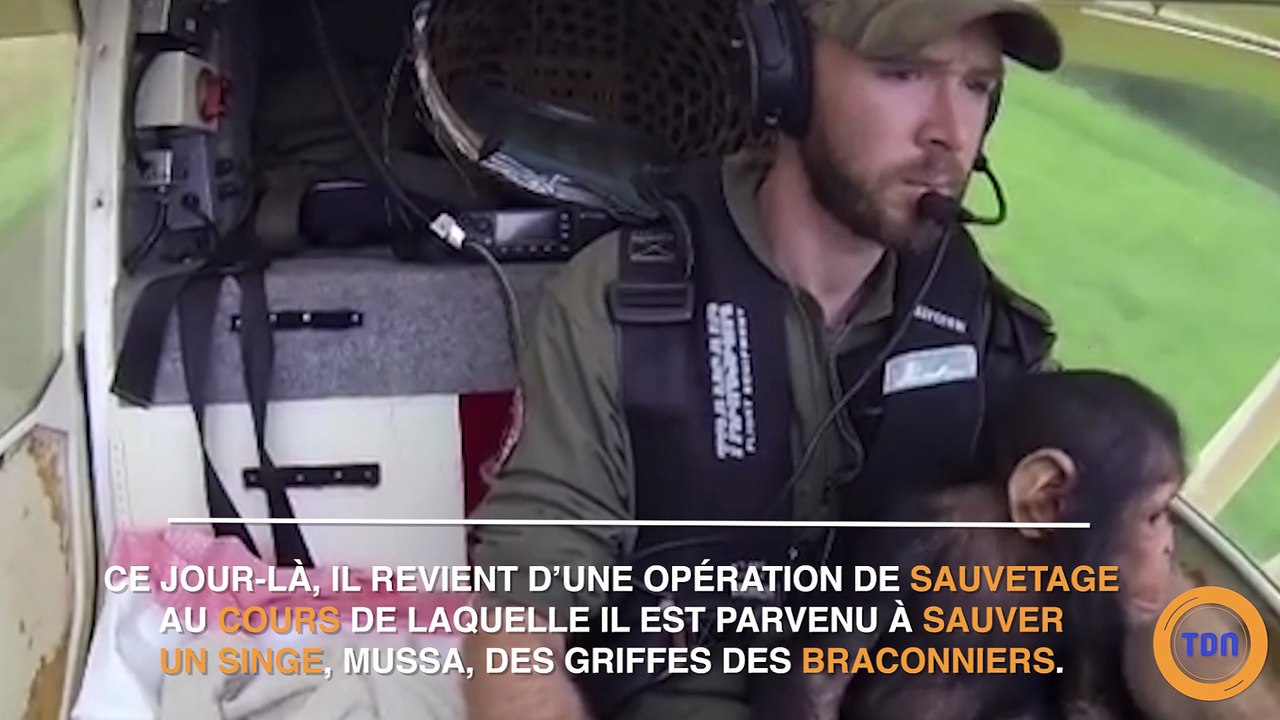 Ce pilote a sauvé un petit singe orphelin, ce qu'il a fait ensuite est vraiment émouvant !