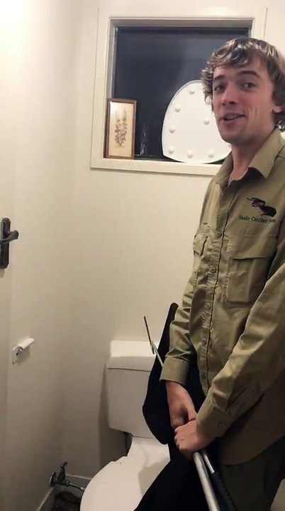 Grumpy Carpet Python Next to Toilet