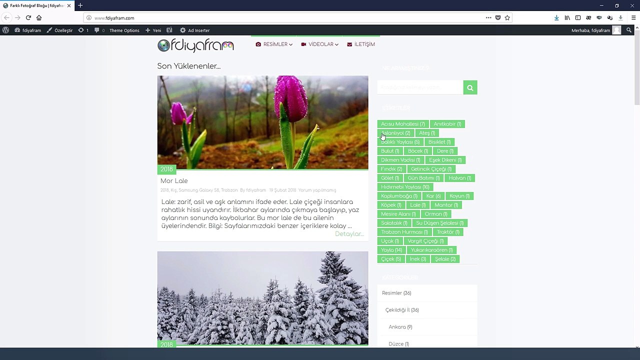 Wordpress Sidebar Kaldırma Nasıl Yapılır