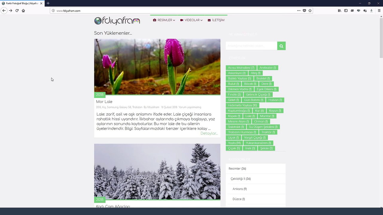 Wordpress Tema Düzenleme. Wordpress Temanızı Özgürlüğüne Kavuşturun!