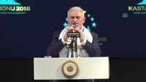 Başbakan Yıldırım: 