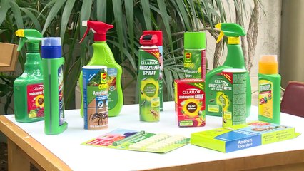 GLOBAL 2000 und bellaflora - Ohne Blumen keine Schmetterlinge und umgekehrt