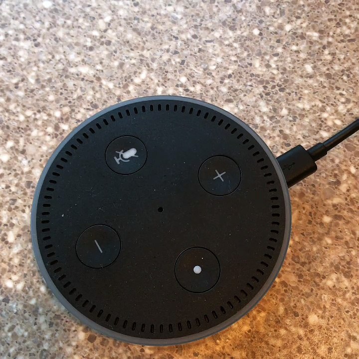 Ominous Report by Amazon Alexa