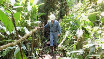 Ecuador estudia apoyo estatal a afectados de cáncer por explotación petrolífera