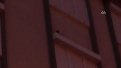 Panjurda Mahsur Kalan Kediyi İtfaiye Kurtardı