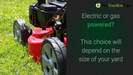 Is It a Good Idea to Buy a Used Lawn Mower?