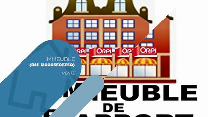 Immeuble Villeneuve D Ascq 342 m2