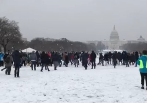 Crowd Gathers for Snowball Fight on National Mall