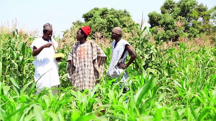Musha Dariya Aliartwork Tare Da Hon. DanLami Kurfi in Katsina - Arewa Comedians