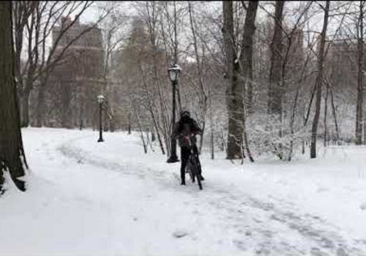 Snow Blankets New York's Central Park as Fourth Nor'easter Hits East Coast