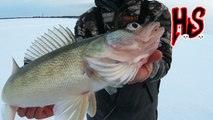 Hook Shots: Icing Ohio Walleyes