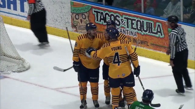 Norfolk Admirals - (2) @ Florida Everblades - (7)