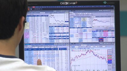 정부 "자본유출 가능성 크지 않을 것"...가계부채 관리 / YTN