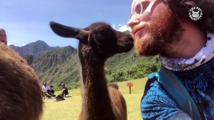 Best Pets of The Week - January 2018 Week 2