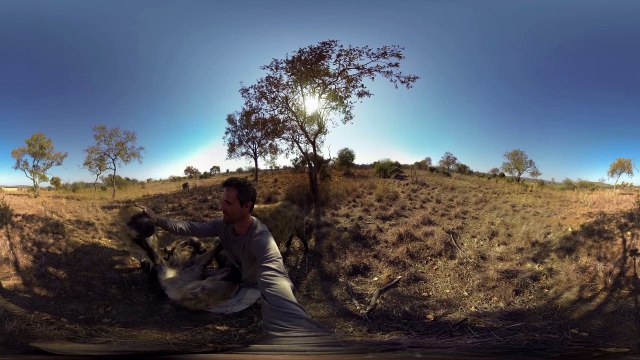 GoPro VR_ Hyenas Wrestling With Kevin Richardson