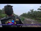 Tim Penyelamat Menyusuri Hutan Riau Untuk Mencari Bonita -NET5