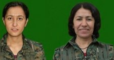 Afrin'de PKK Elebaşları Köşeye Sıkıştı! Karayılan'ın Koruması Öldürüldü