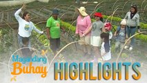 Magandang Buhay: Momshie Karla, Jolina and Melai visits the strawberry field