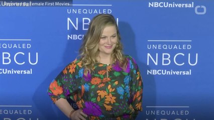 Is Amy Poehler Directing A Movie?