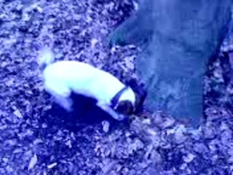 wo ist die maus...?