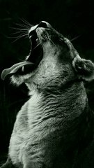 Cristiano Ronaldo top 50 skills