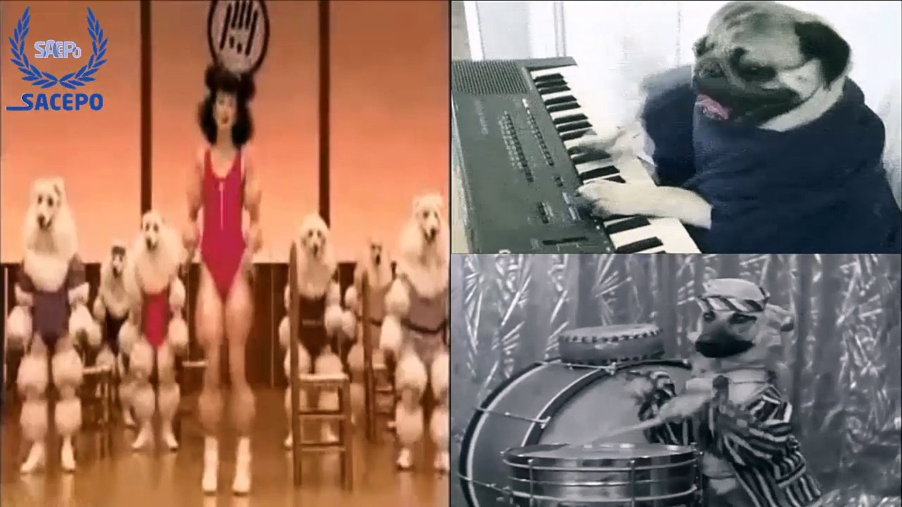 HİÇ GÖRDÜN MÜ BÖYLE BACAK  (ARABESK FİLM MÜZİĞİNDEN) -MÜJDE AR