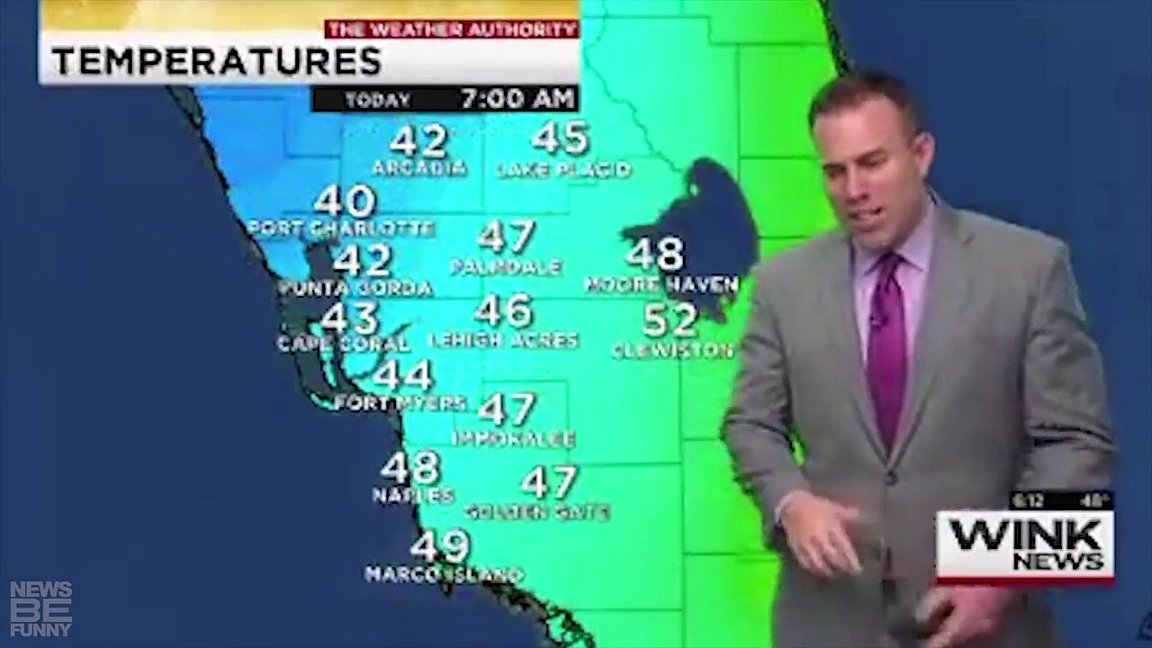 BEST NEWS BLOOPERS JANUARY 2018