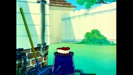 Tom and Jerry Cartoon- Love That Pup