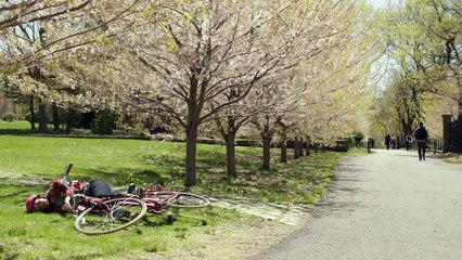 Girls S06E00 A Goodbye To Girls